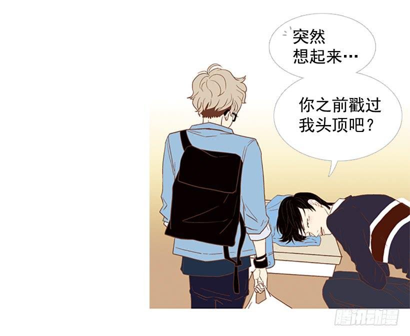 屋顶有个发疯的鸡