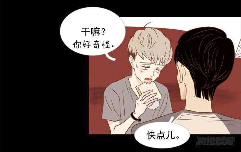 别再来我家