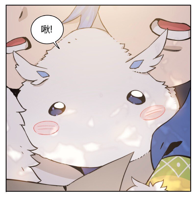 003 煤球