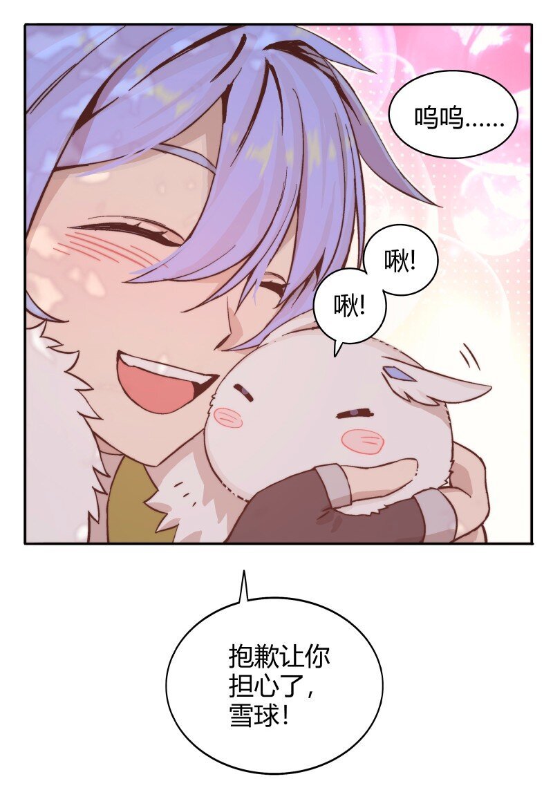 003 煤球