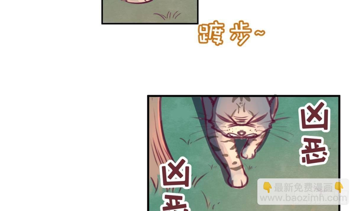第15话 爱神降临？