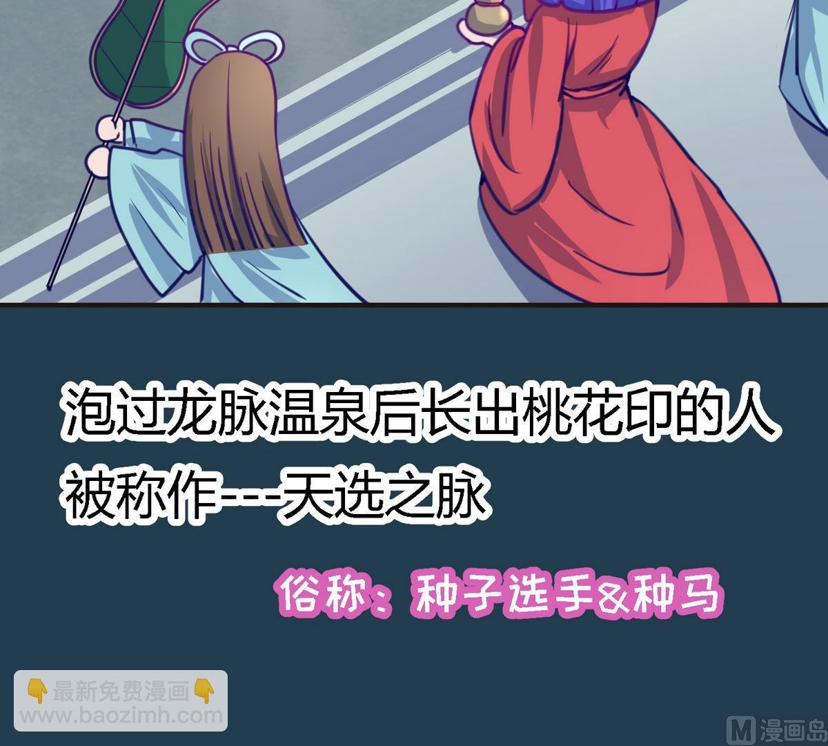 第27话之后 小剧场桃花印之谜