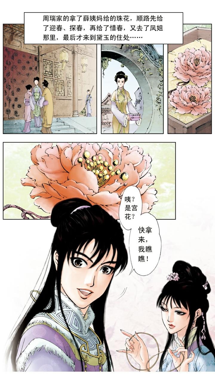 第23话 探望宝钗