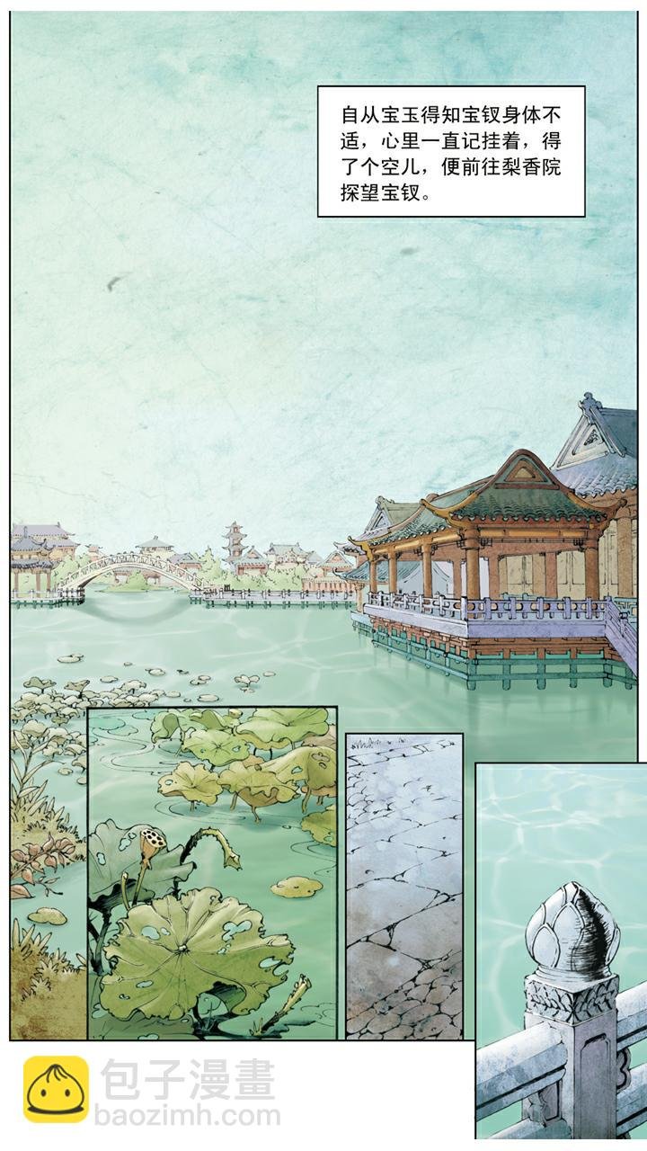 第23话 探望宝钗