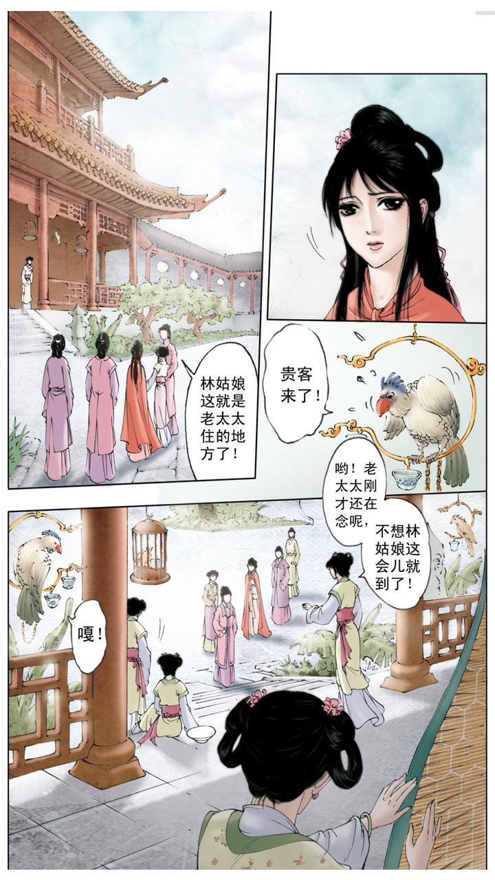 第3话 贾母惜孤女