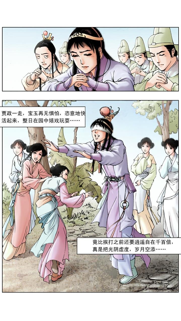 第78话 木石姻缘