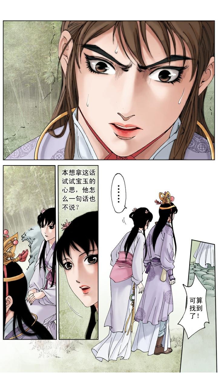 第92话 宝玉生病