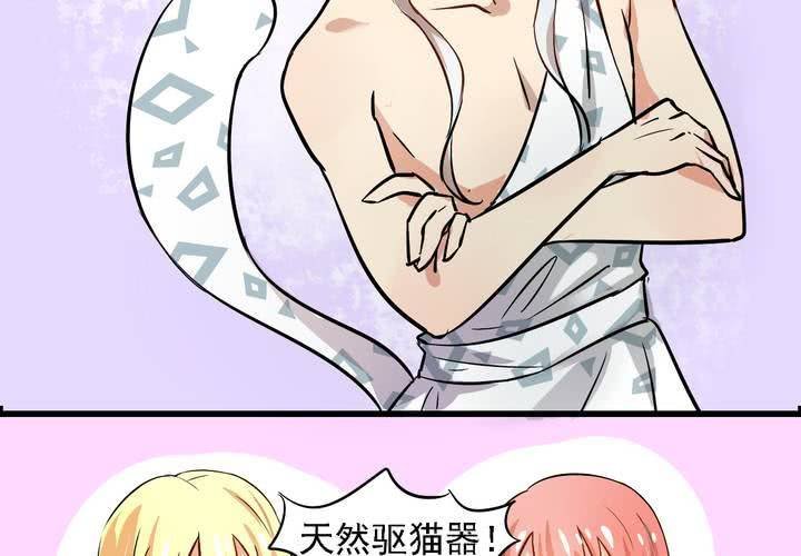 第八话