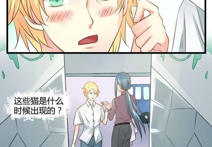 第六话