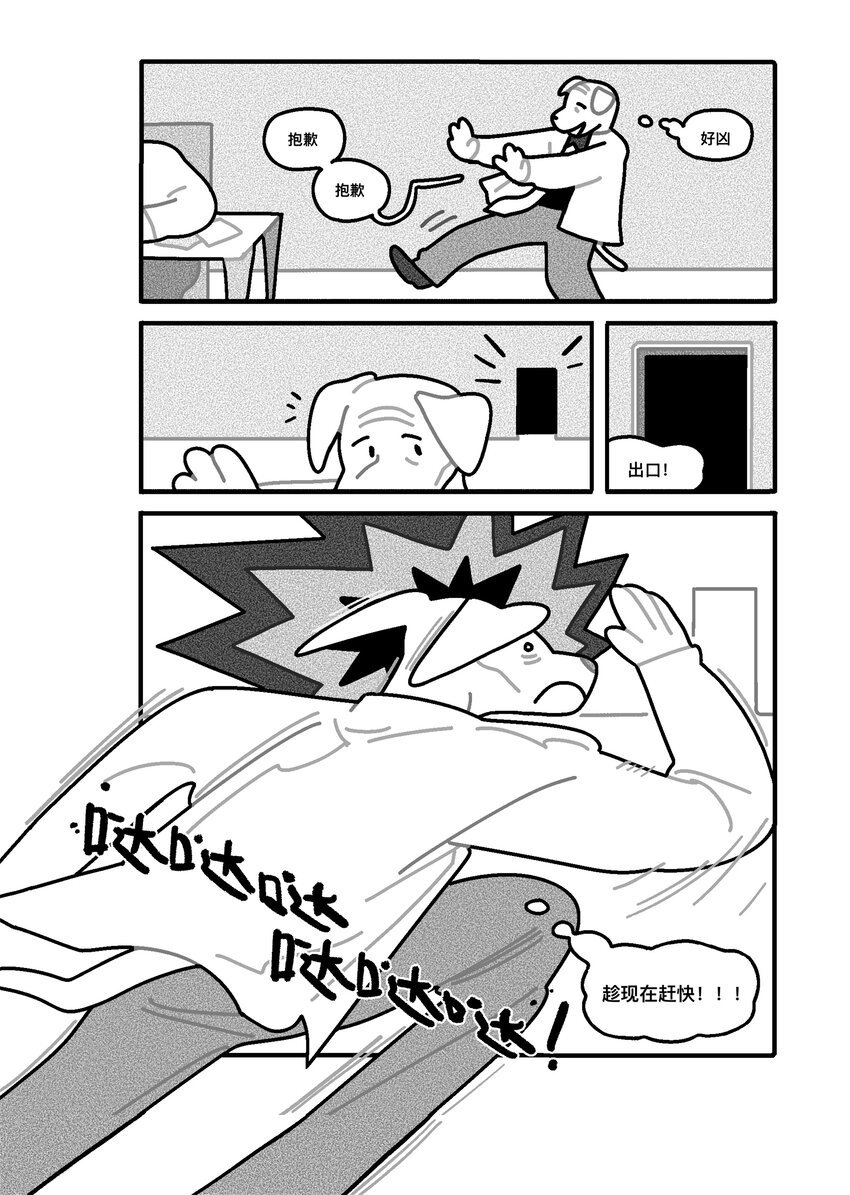 纸墙 宁琦言