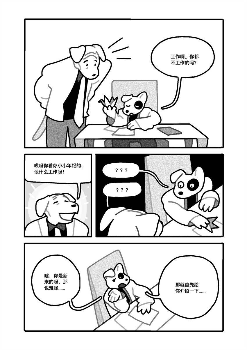 纸墙 宁琦言