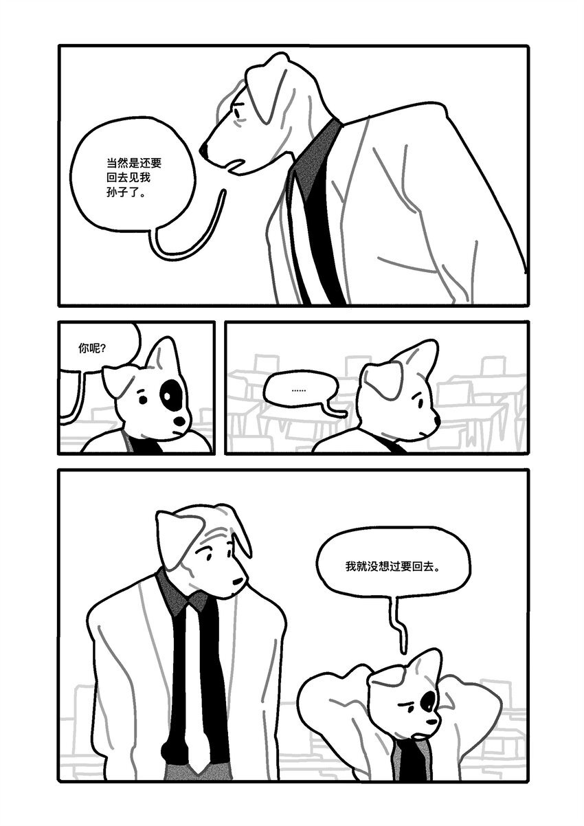 纸墙 宁琦言