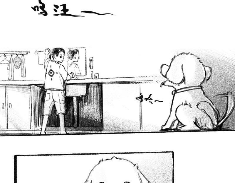 窥