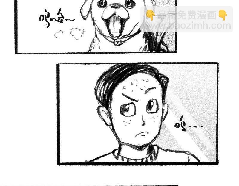 窥