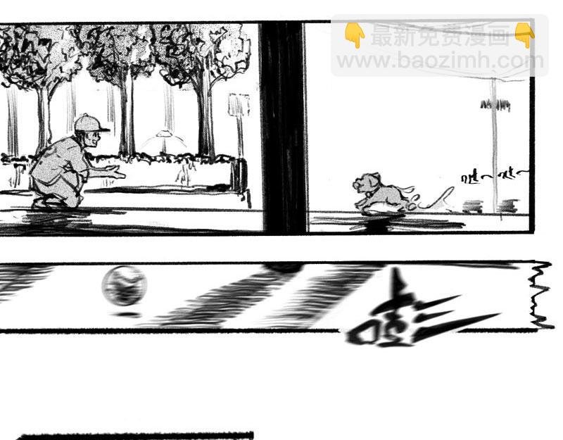 窥