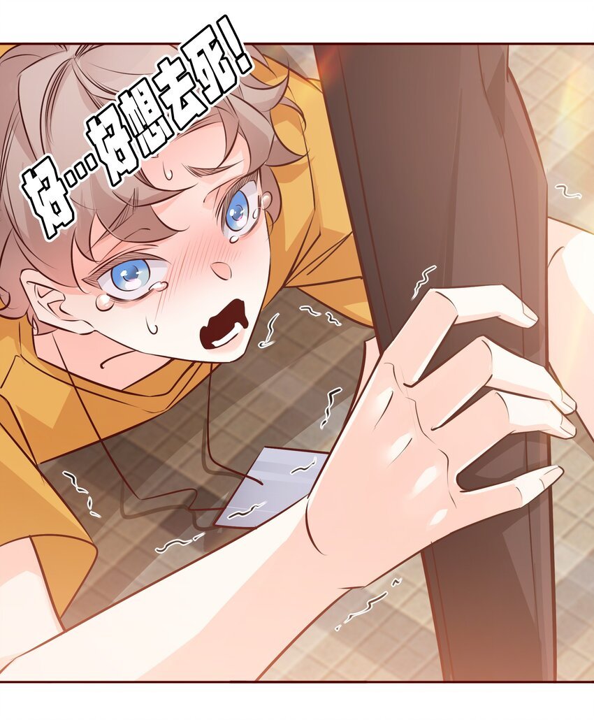 005 薛定谔的直男