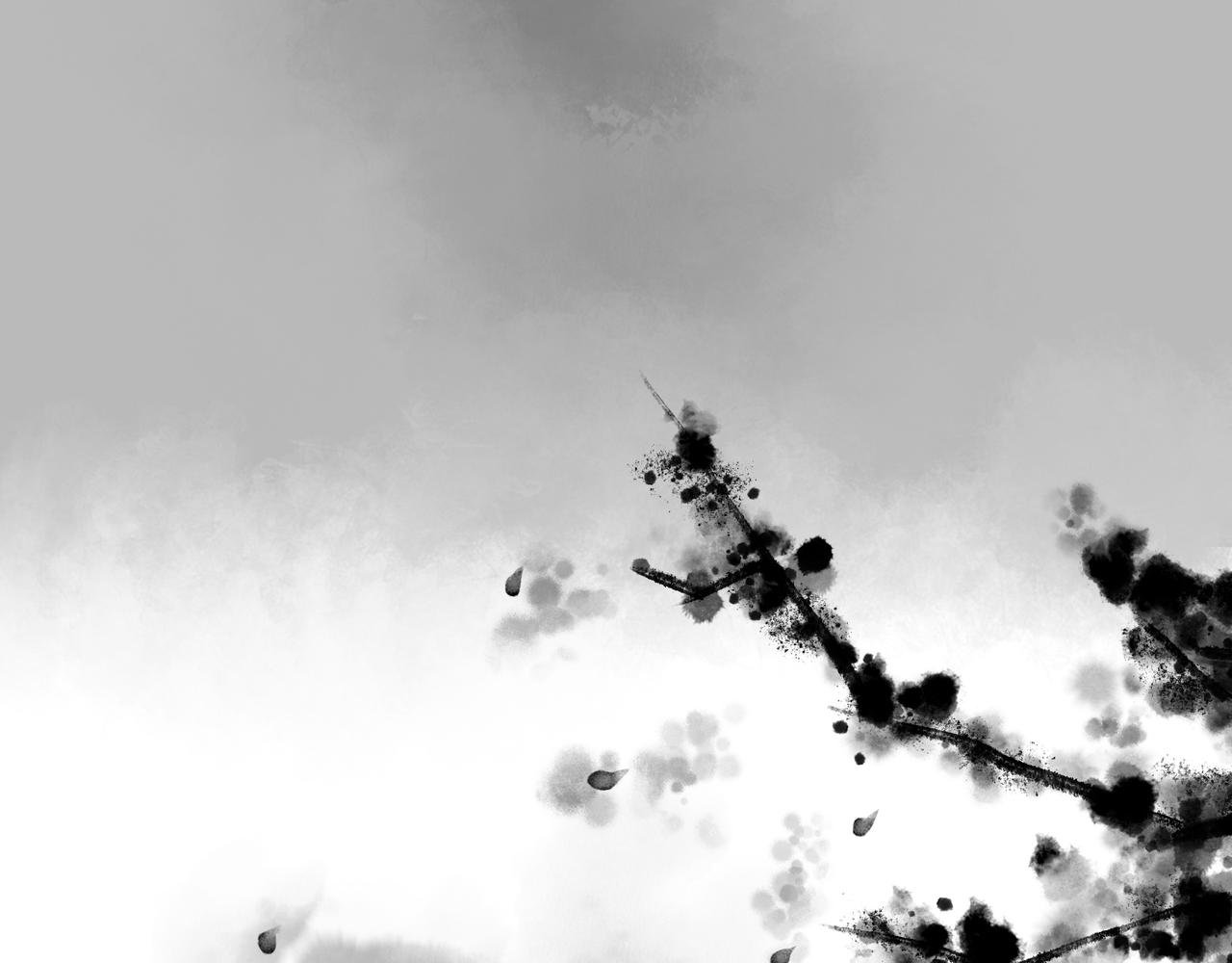 前言4