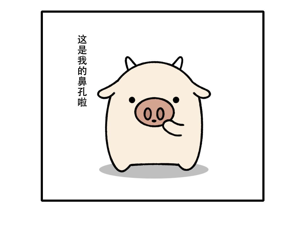 寻龙