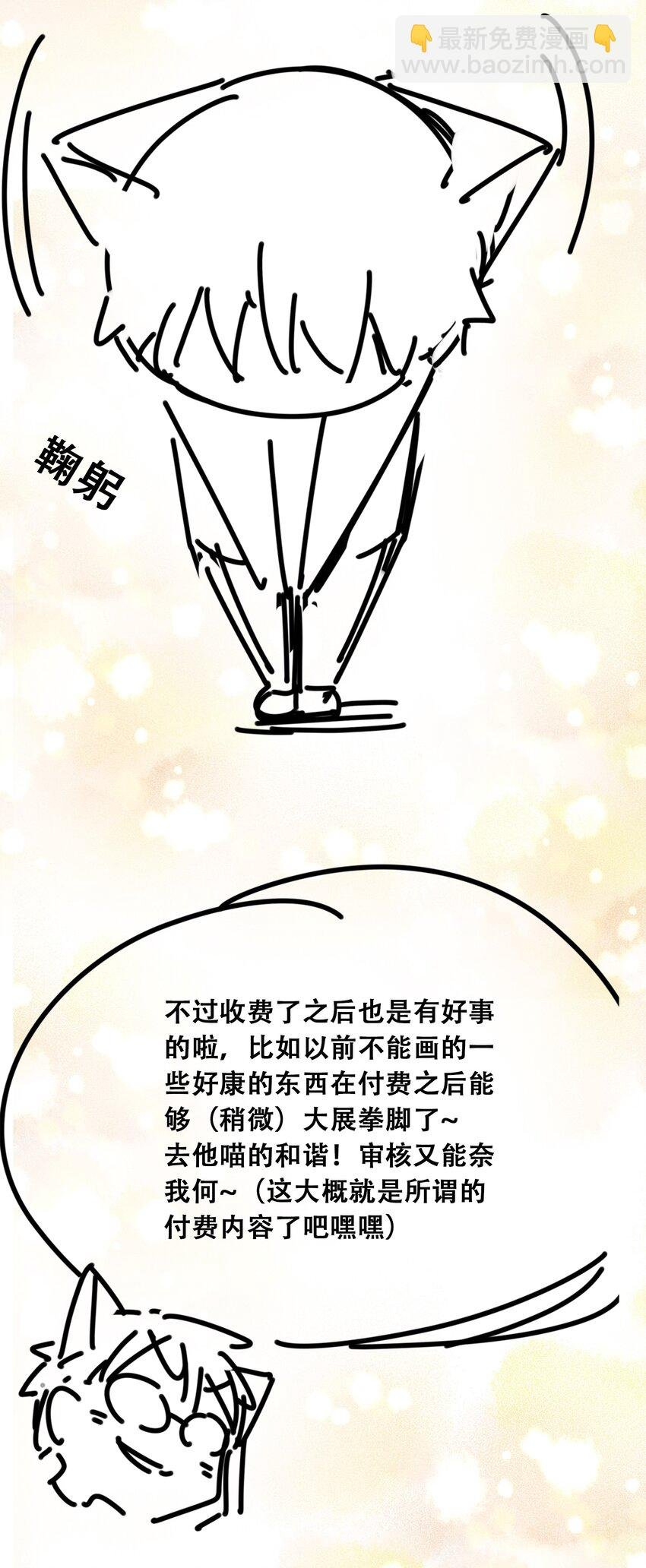 付费公告 公告与作者的话