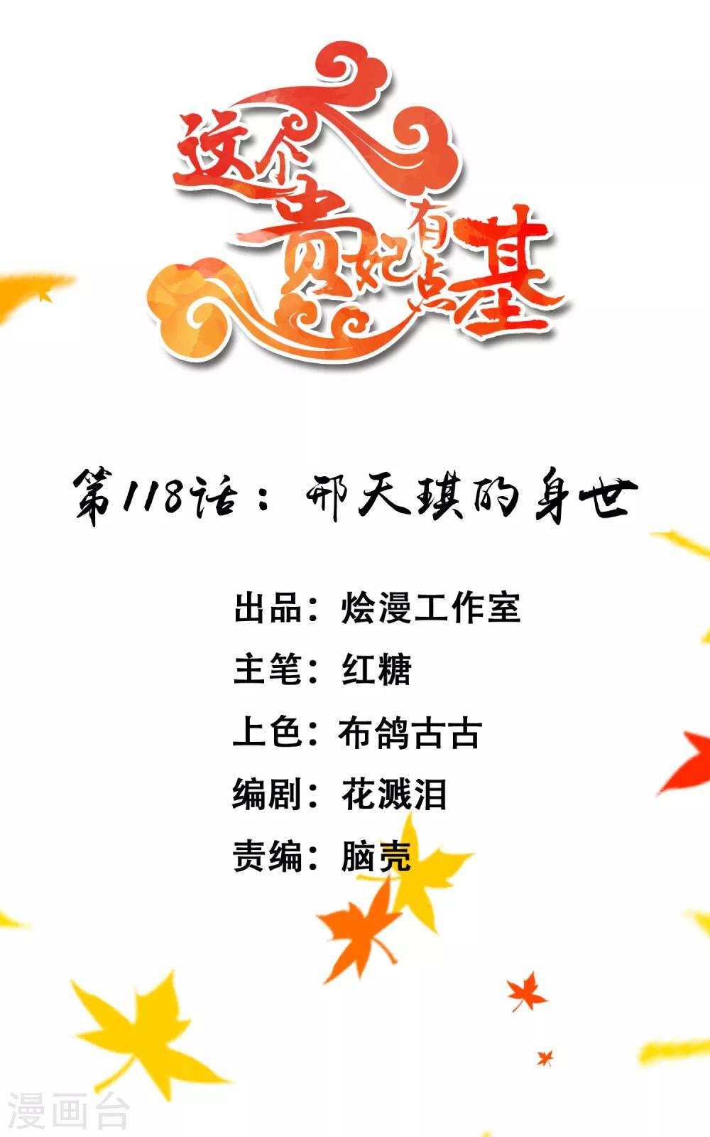 第118话 邢天琪的身世