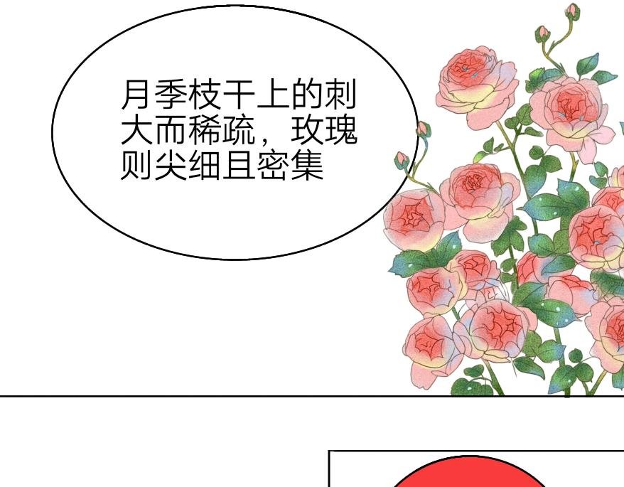 小熊，我分得清