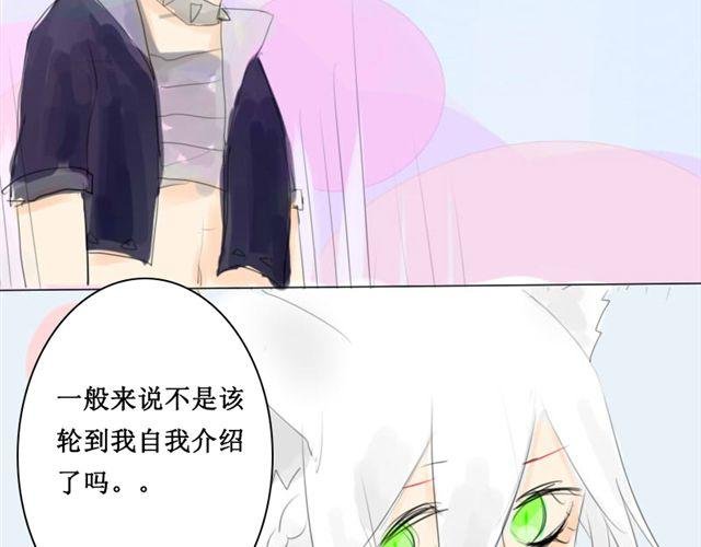 第3话.小狼到来
