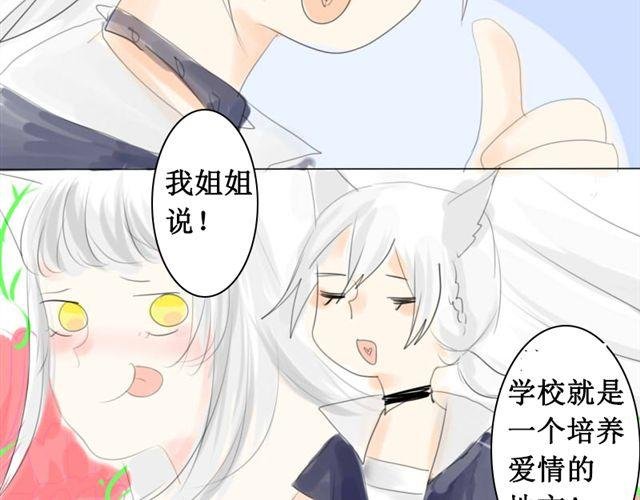 第3话.小狼到来