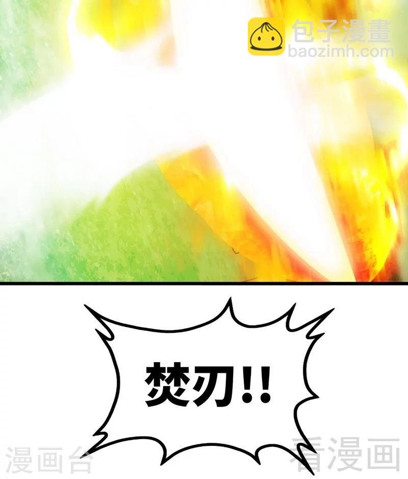 第100话 双杀武灵