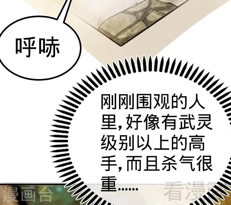 第53话 武灵刺客