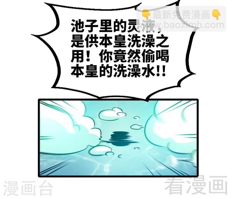 第96话 傲娇鸟