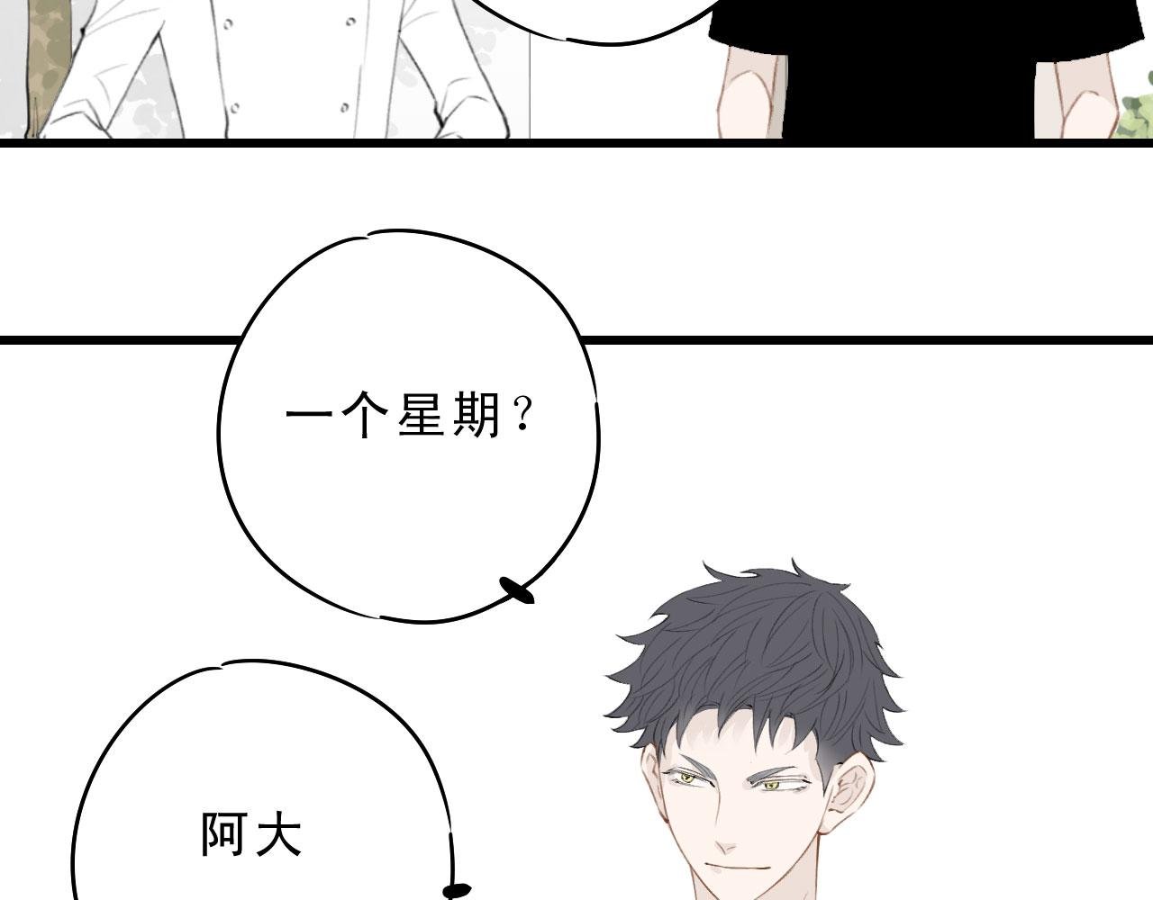 不可描述的一天