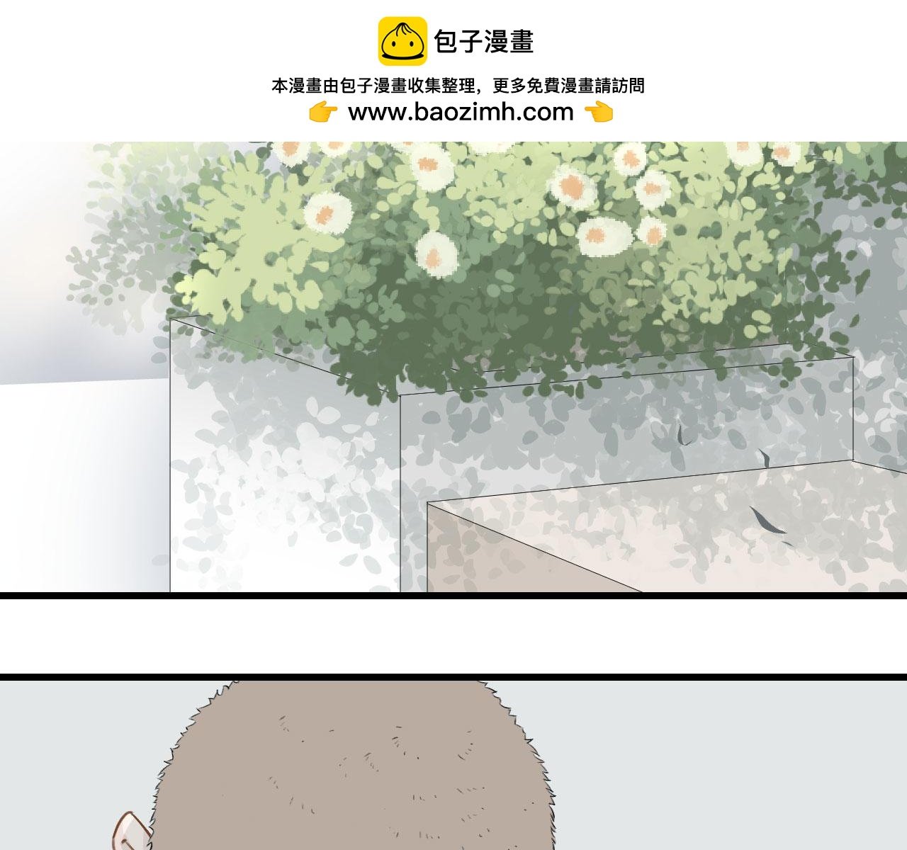 小卫，淡定