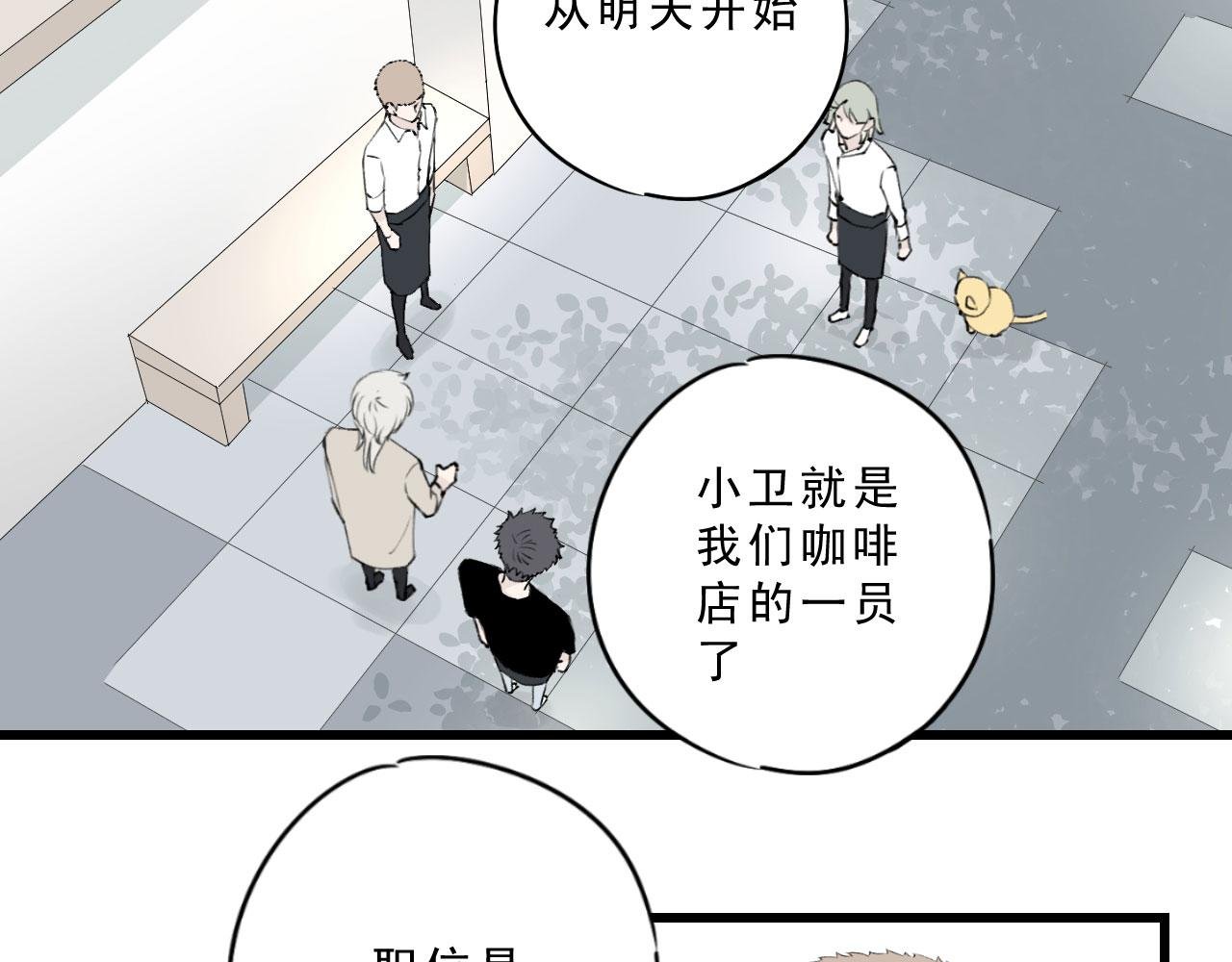 小卫，淡定