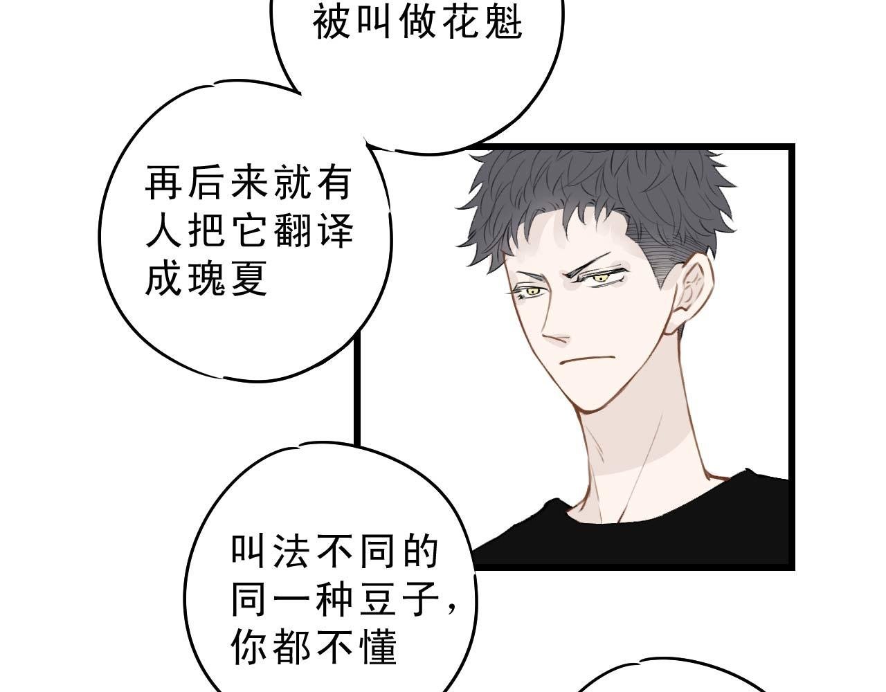 打个赌吧