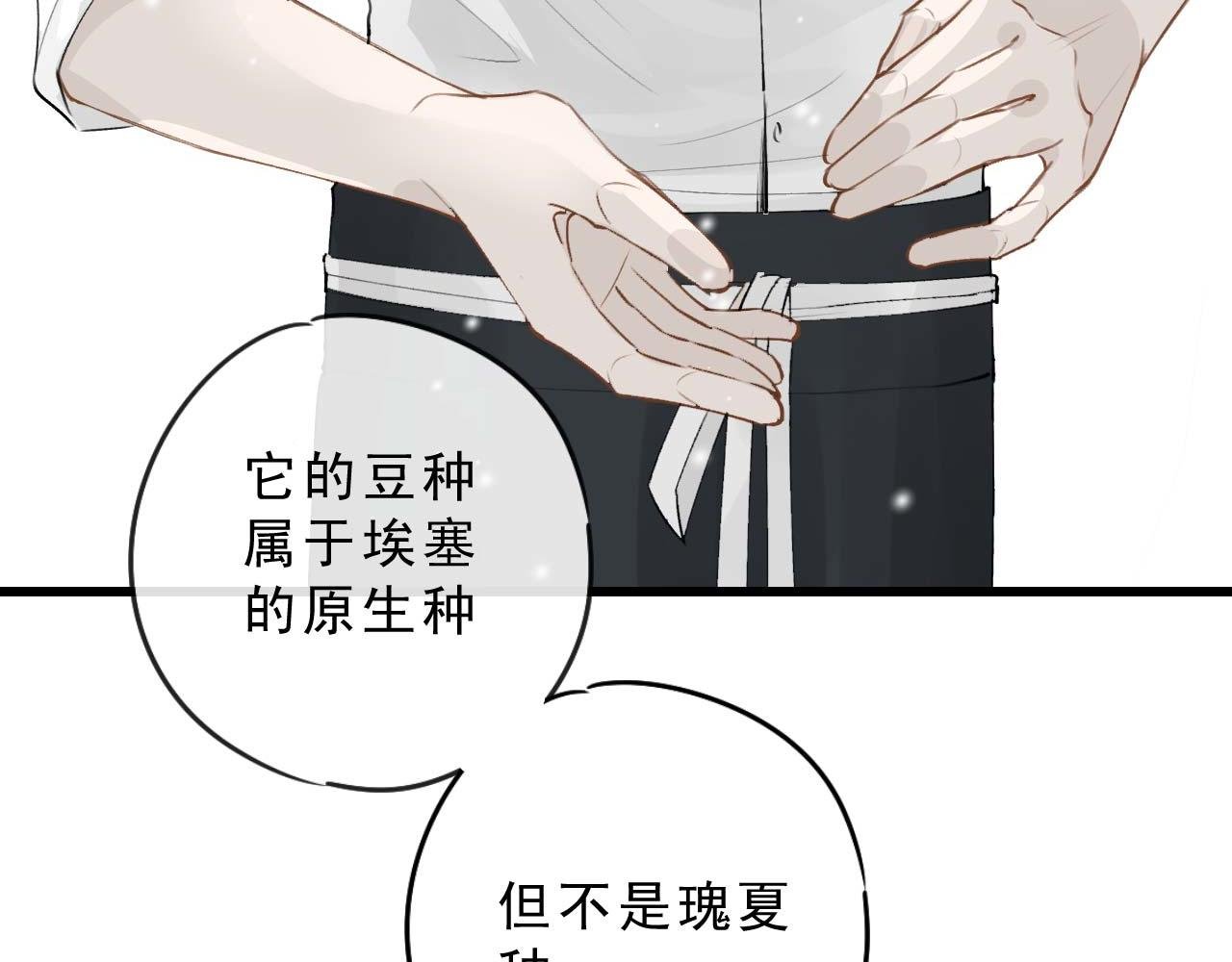 打个赌吧