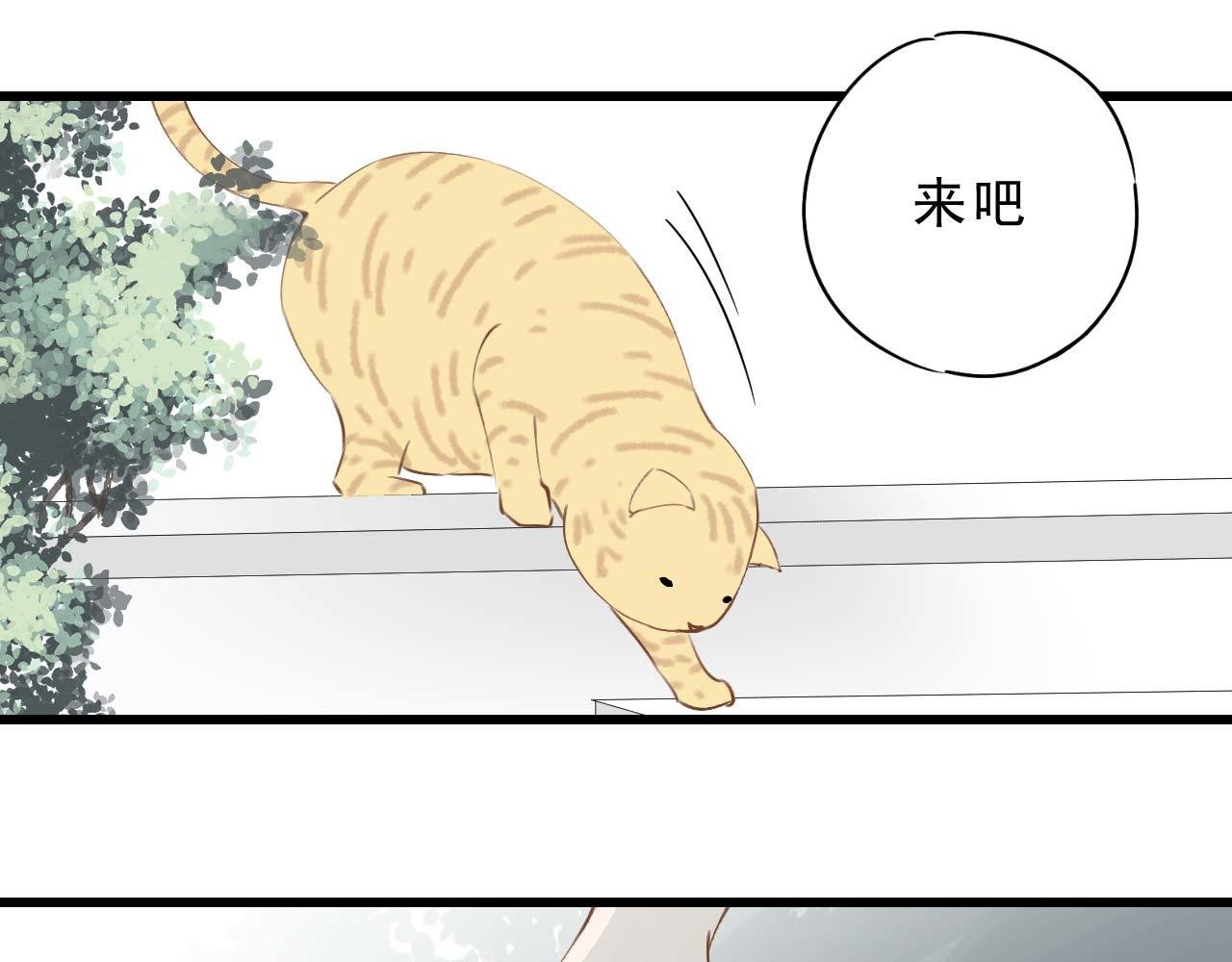 哎呀，你好聪明