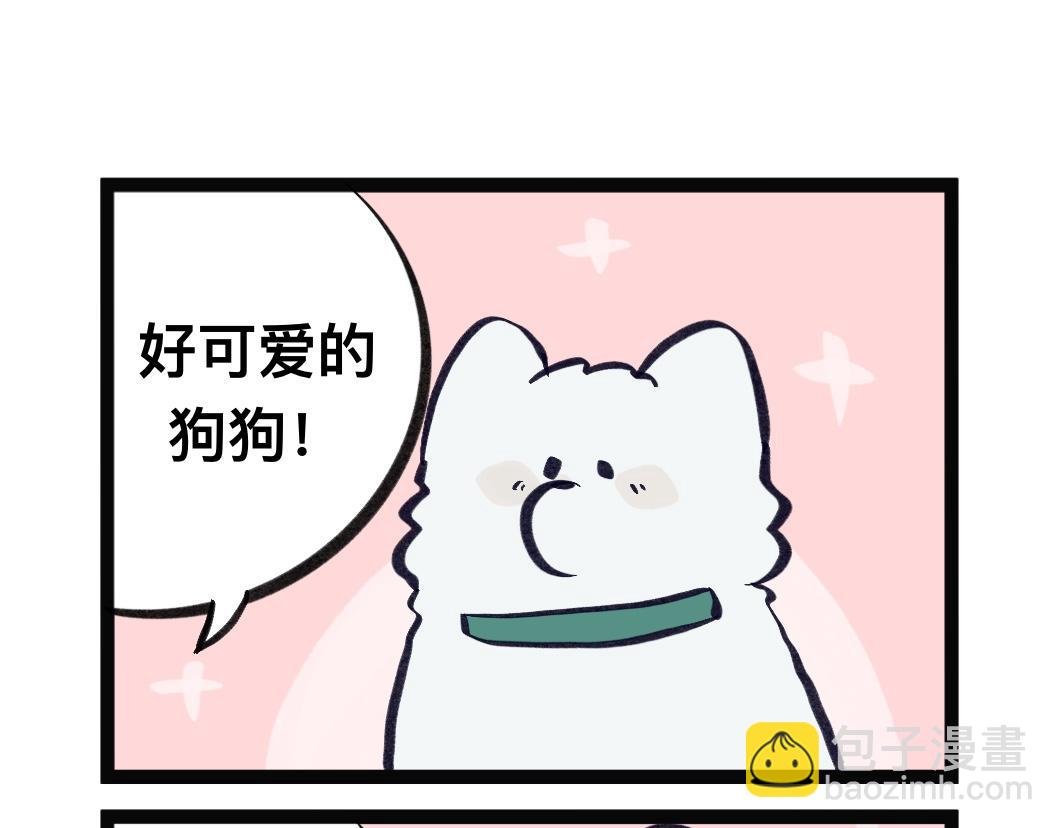 生oc就是为了磕（？