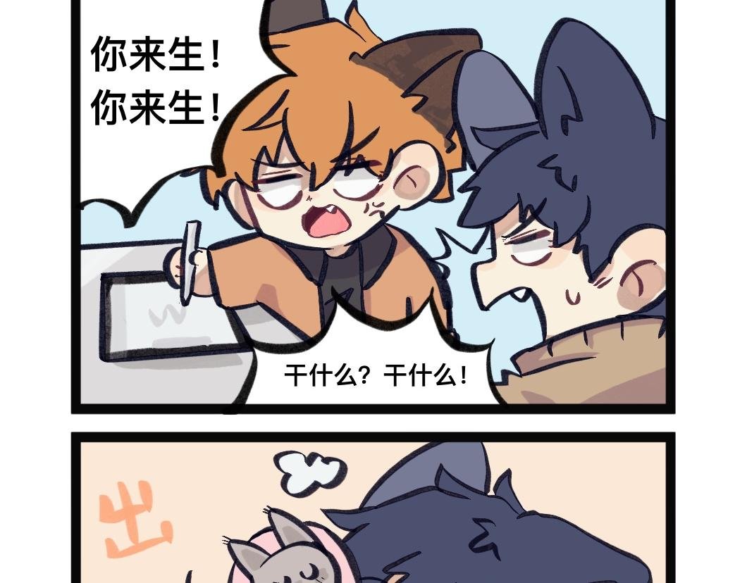 有努力的设定过