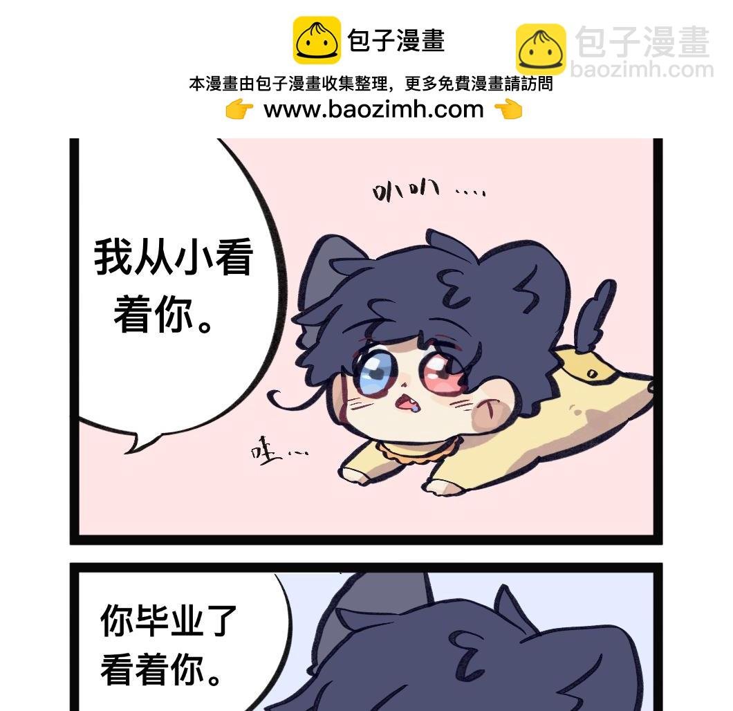 有努力的设定过
