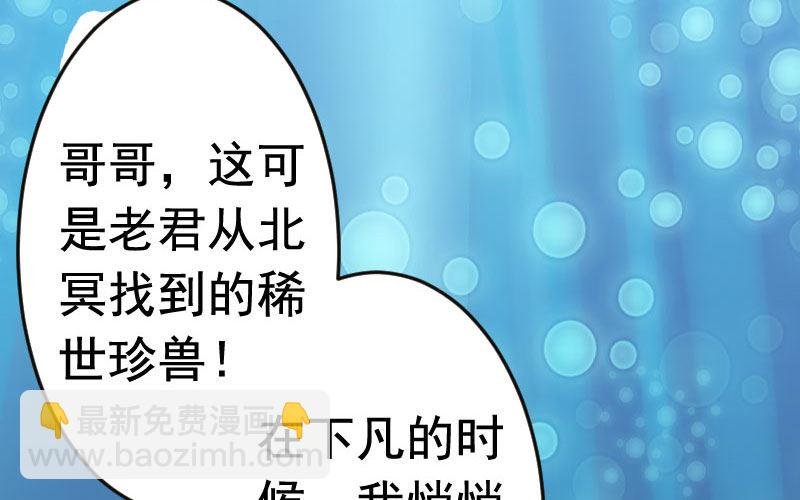 我卖了大王