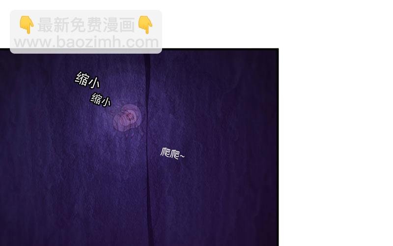 59-靓鲲收靓