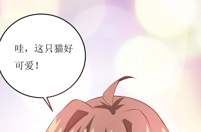 第28话 买买买