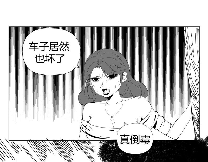 保险4