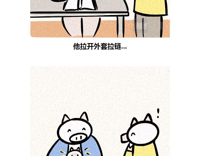 冬天的猪与猫