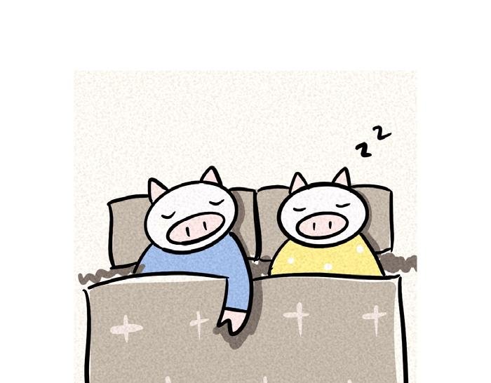 冬天的猪与猫