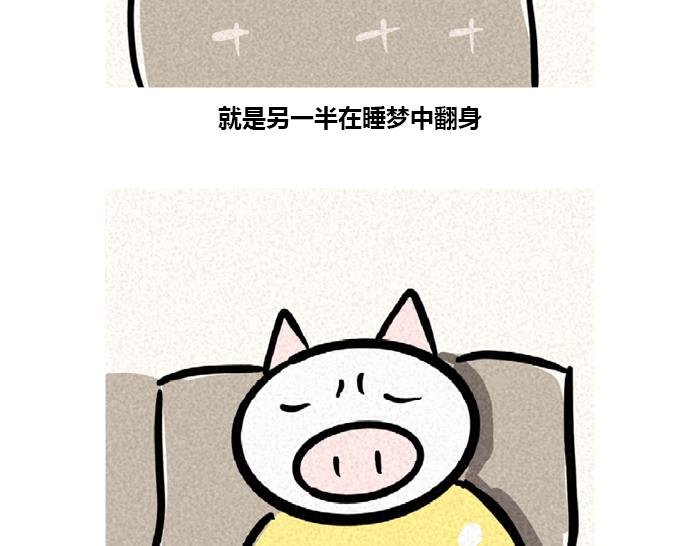 冬天的猪与猫