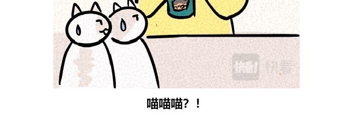 等待开饭的猫
