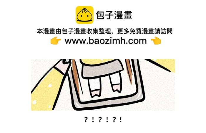 等待开饭的猫