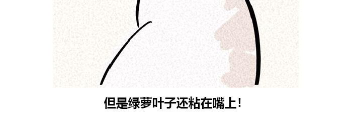 调皮捣蛋的猫