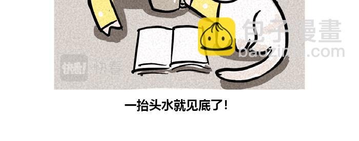 调皮捣蛋的猫